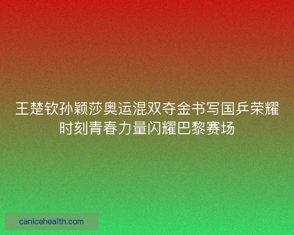 王楚钦孙颖莎奥运混双夺金书写国乒荣耀时刻青春力量闪耀巴黎赛场