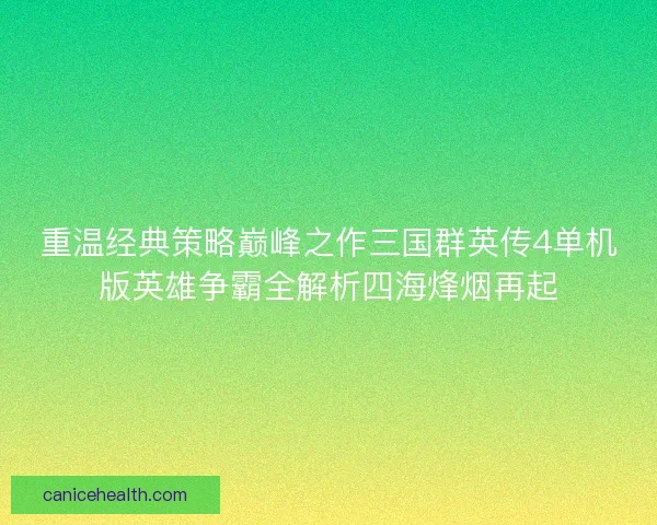 重温经典策略巅峰之作三国群英传4单机版英雄争霸全解析四海烽烟再起