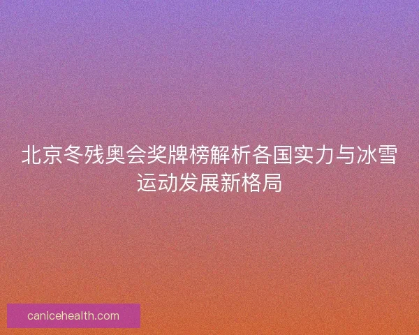 北京冬残奥会奖牌榜解析各国实力与冰雪运动发展新格局