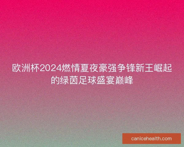 欧洲杯2024燃情夏夜豪强争锋新王崛起的绿茵足球盛宴巅峰