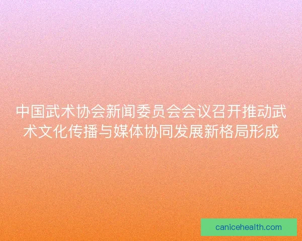 中国武术协会新闻委员会会议召开推动武术文化传播与媒体协同发展新格局形成