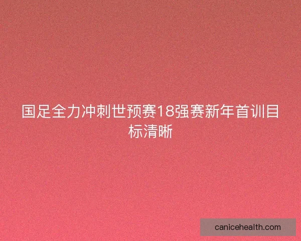国足全力冲刺世预赛18强赛新年首训目标清晰