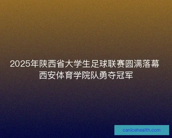 2025年陕西省大学生足球联赛圆满落幕 西安体育学院队勇夺冠军