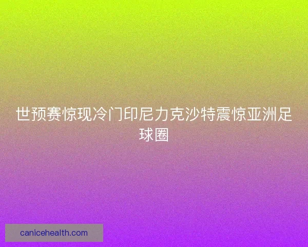 世预赛惊现冷门印尼力克沙特震惊亚洲足球圈 世预赛惊现冷门印尼力克沙特震惊亚洲足球圈