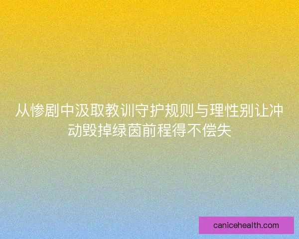 从惨剧中汲取教训守护规则与理性别让冲动毁掉绿茵前程得不偿失