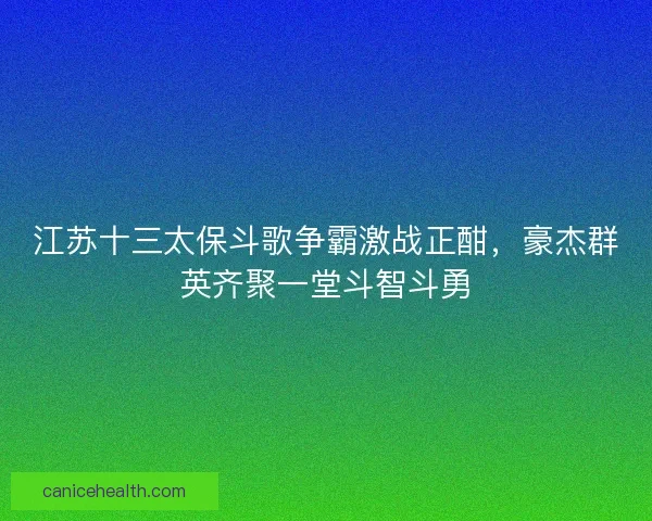 江苏十三太保斗歌争霸激战正酣,豪杰群英齐聚一堂斗智斗勇 江苏十三太保斗歌争霸激战正酣,豪杰群英齐聚一堂斗智斗勇