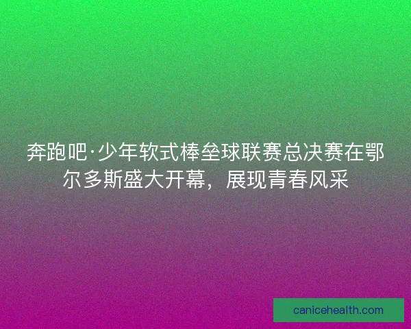 奔跑吧·少年软式棒垒球联赛总决赛在鄂尔多斯盛大开幕，展现青春风采