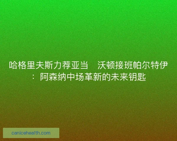 哈格里夫斯力荐亚当・沃顿接班帕尔特伊：阿森纳中场革新的未来钥匙